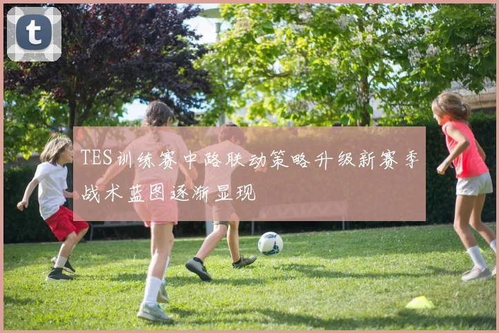 TES训练赛中路联动策略升级新赛季战术蓝图逐渐显现